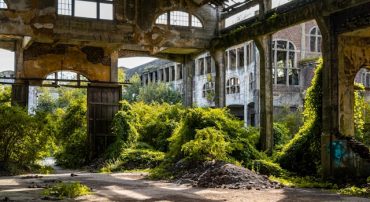 Why Schwab Sends Expiration Notices for Advisor Standing Instructions