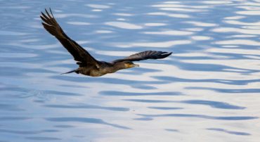 How Diversified Portfolios Handled the First Quarter of 2026