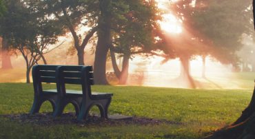 How to Obtain Your Ex-Spouse’s Social Security Statement and Full Earnings Record